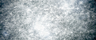 447F8D33-53D7-4039-80AB-5EB8D34049F6.jpeg